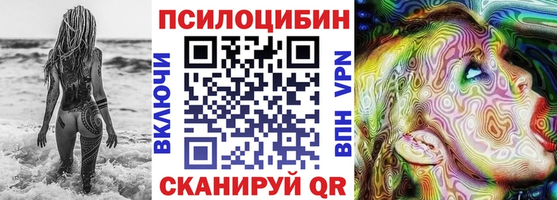 закладки  Калининск  Псилоцибиновые грибы Cubensis 